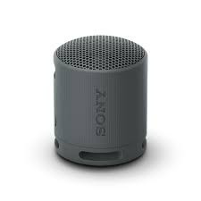Sony SRS-XB100 Compact Portable Wireless Bluetooth Speaker